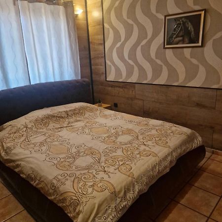 Guest House Maja نوفي ساد المظهر الخارجي الصورة