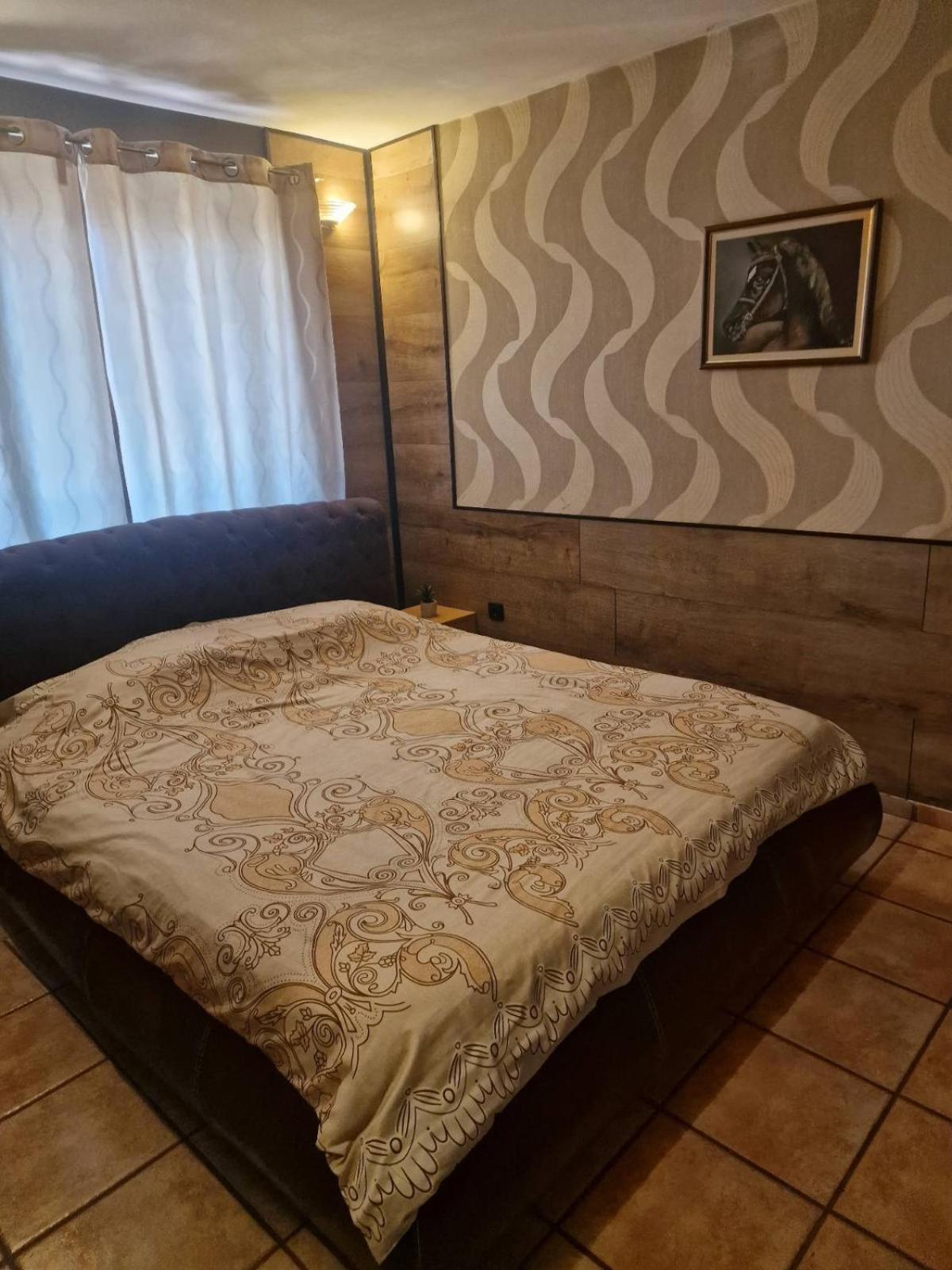 Guest House Maja نوفي ساد المظهر الخارجي الصورة