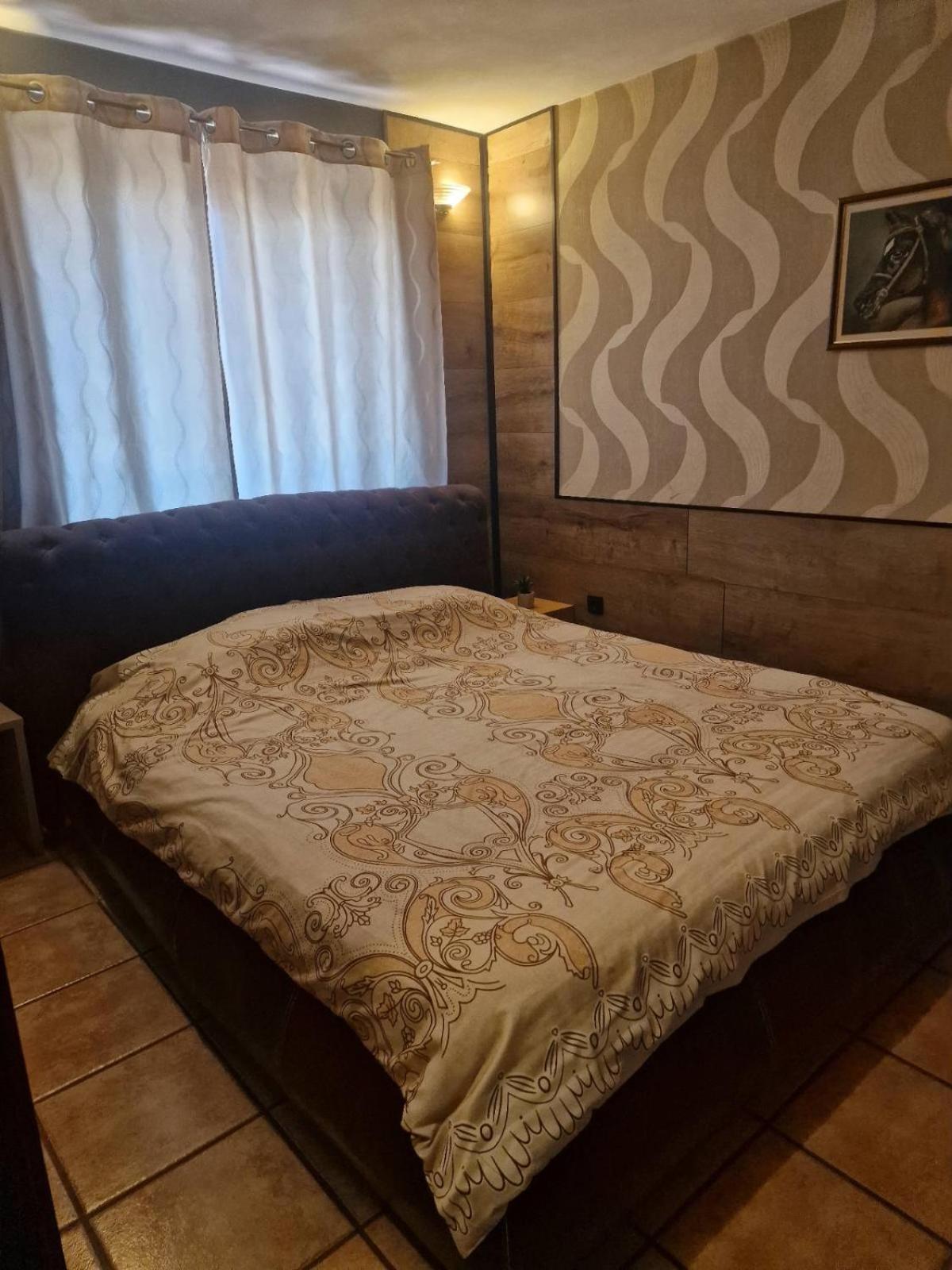 Guest House Maja نوفي ساد المظهر الخارجي الصورة